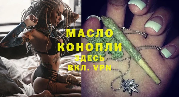соль ск Дмитриев