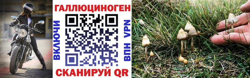 как найти наркотики  Оленегорск  Галлюциногенные грибы MAGIC MUSHROOMS 