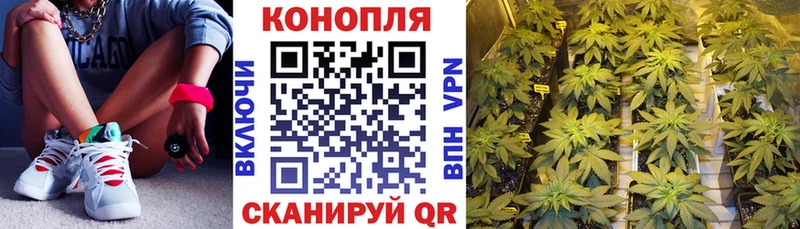 Шишки марихуана Ganja  Оленегорск 